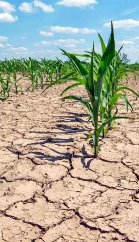 20230108sequiacampocedocg-1487680-jpg.