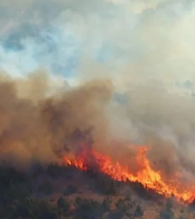 parque-los-alerces-02-jpg.