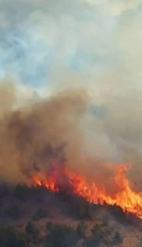 parque-los-alerces-02-jpg.