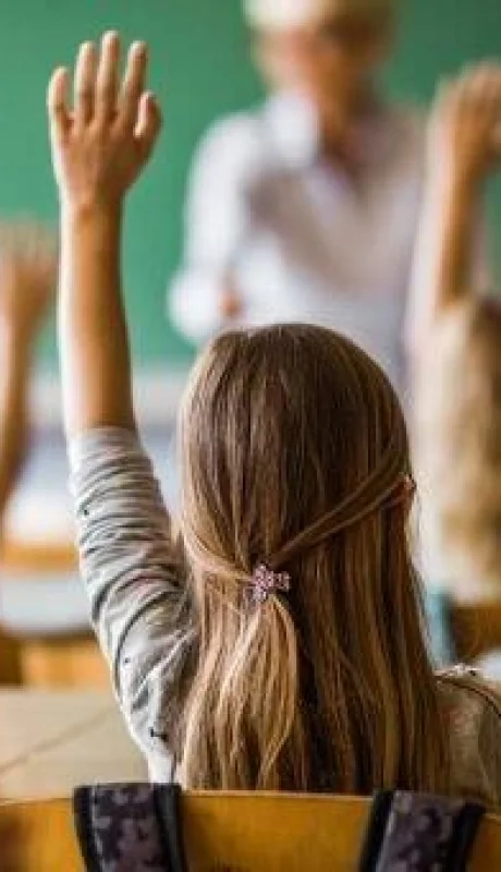 f608x342-331491-361214-31-jpg.