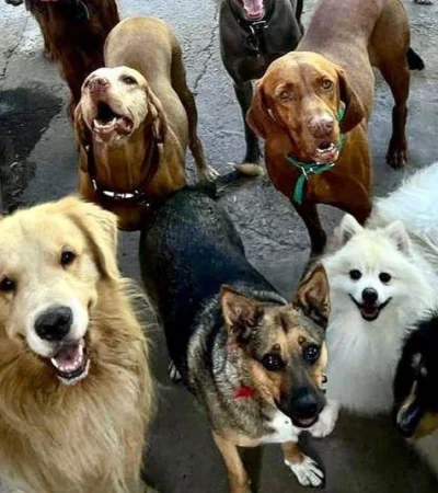 327983846-494381462868769-5934038566609485861-n-jpg.