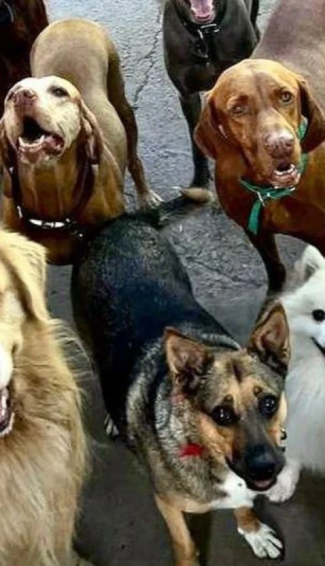 327983846-494381462868769-5934038566609485861-n-jpg.