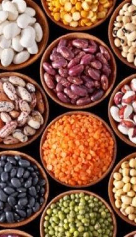 70260e0f-2417-49c1-857d-043fbdcb0139-jpeg.