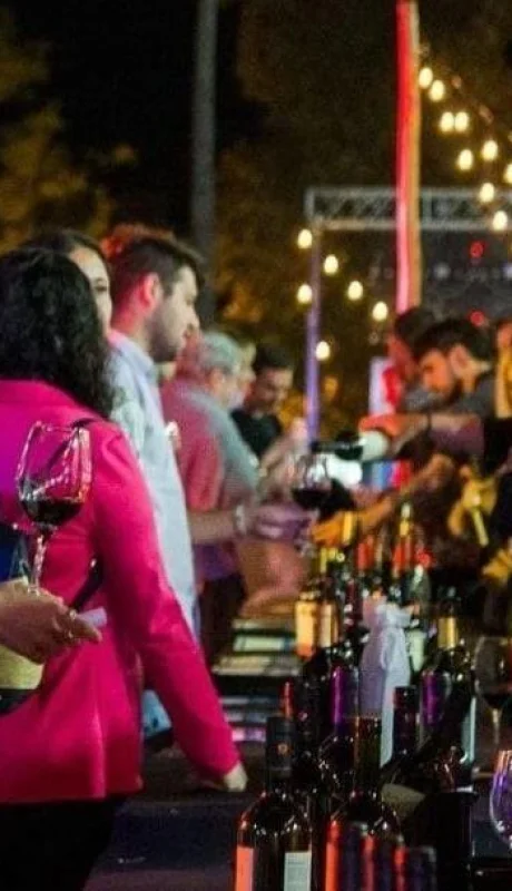 degus01a-1170x610-jpg.