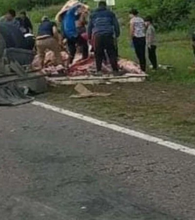 camion-con-carne-jpeg.