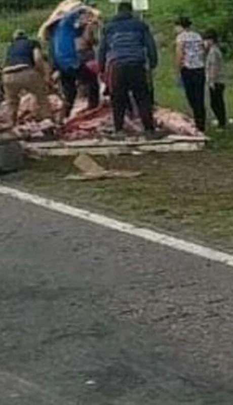 camion-con-carne-jpeg.