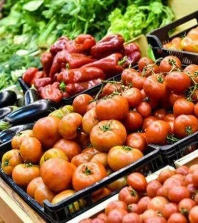 whatsapp-image-2023-02-15-at-10-27-32-jpeg.