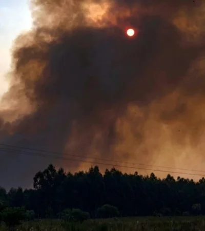 WhatsApp-Image-2022-02-18-at-10.14.23-(1)