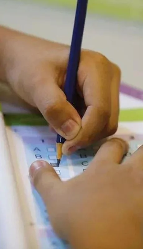 Ayuda Escolar de ANSES