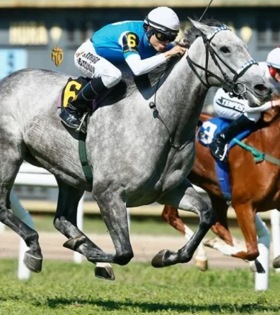 c8507afe-7fa8-48f5-bab7-e758de041106-jpg.