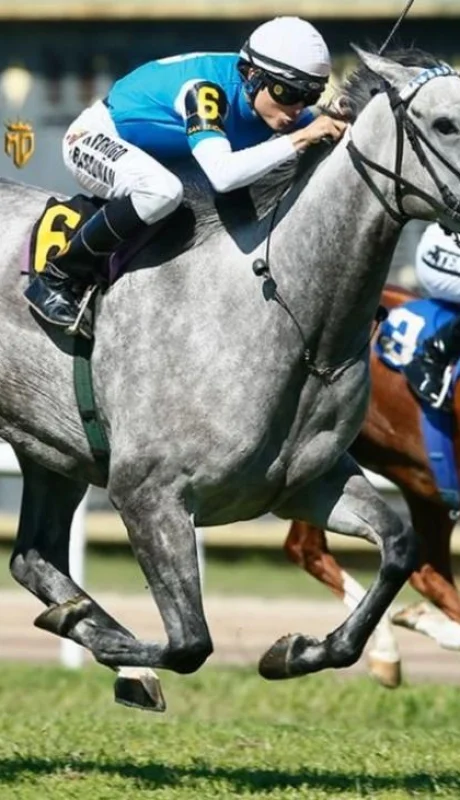 c8507afe-7fa8-48f5-bab7-e758de041106-jpg.