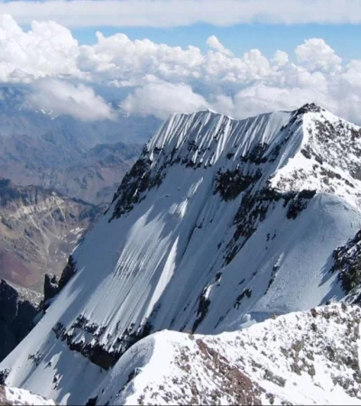 0bbf4b29-c5b1-4a10-8278-cd7df88c87de-jpeg.