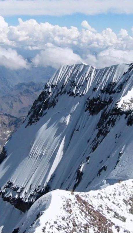 0bbf4b29-c5b1-4a10-8278-cd7df88c87de-jpeg.