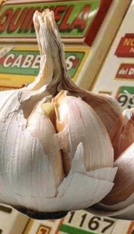 ajo-quiniela-numeros-suerte-suenos-plata-fortuna-png.