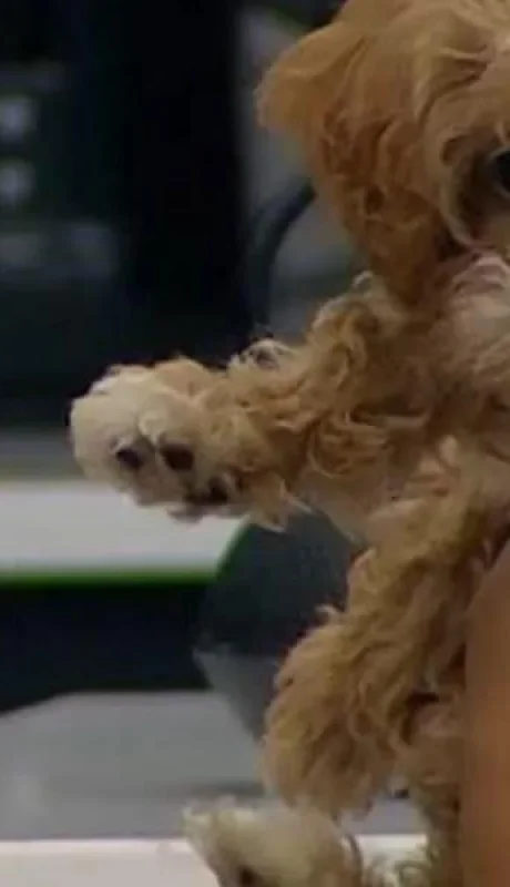 gu3pqbnw5vat5eenvcuzdjnife-jpg.