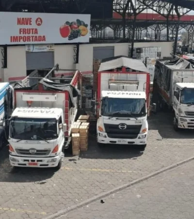 transporte-fruta-jpg.