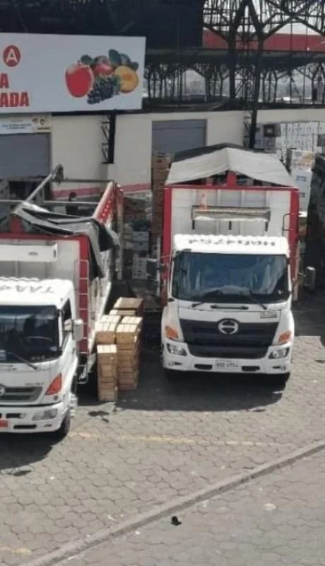 transporte-fruta-jpg.