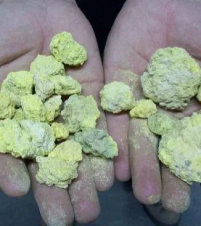 proyecto-amarillo-grande-jpg.