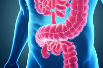 Argentina podría tener la clave para enfrentar una peligrosa enfermedad