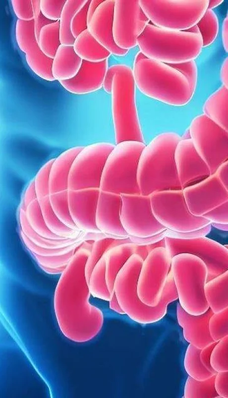 Argentina podría tener la clave para enfrentar una peligrosa enfermedad