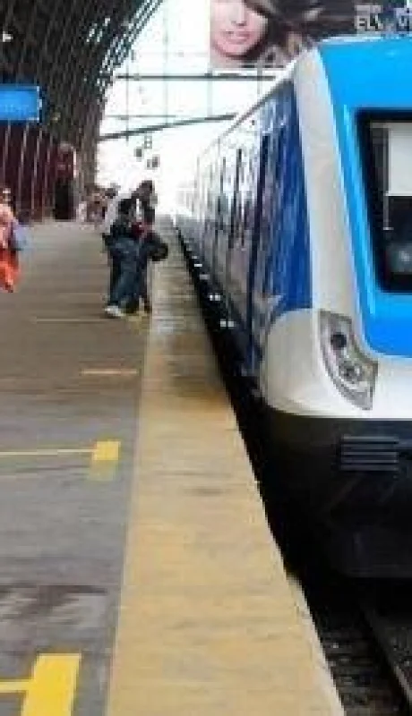 5c1bc0c36cfbf-450-jpg.