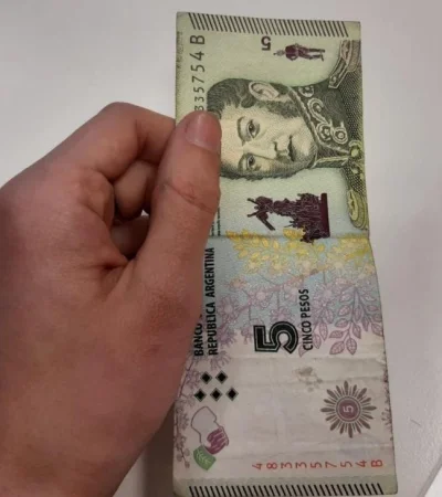 67176902_457634721453812_376190979956277248_n