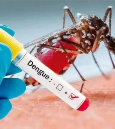 caso-de-dengue-en-la-argentina-jpg.