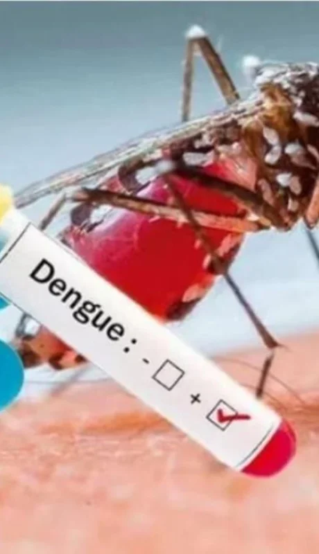 caso-de-dengue-en-la-argentina-jpg.