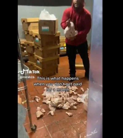 video-pollo-restaurante-comida-png.