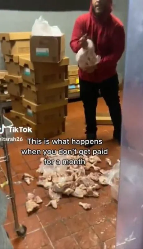 video-pollo-restaurante-comida-png.