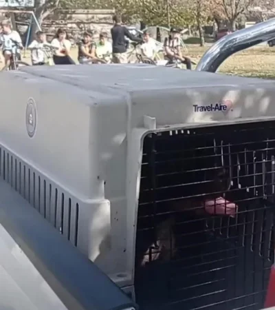 cc7a1401-26a6-4be2-9dac-f610af90981e-jpeg.