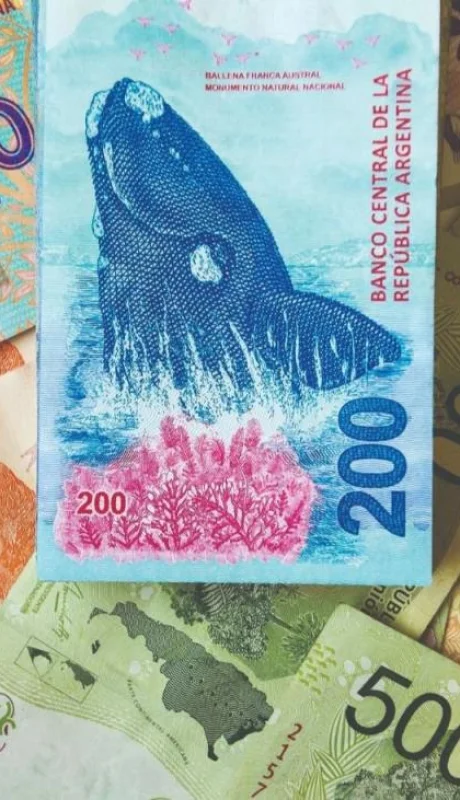 pesos-argentinos-sueldo-jpg.