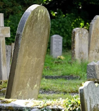 pexels-mike-b-116909-jpg.