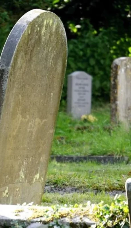 pexels-mike-b-116909-jpg.