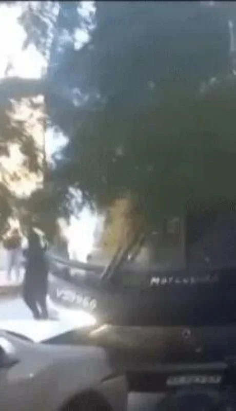 whatsapp-image-2023-04-28-at-19-30-39-jpeg.