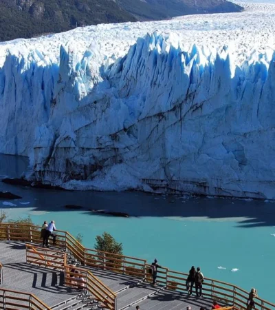 el-calafate-jpg.