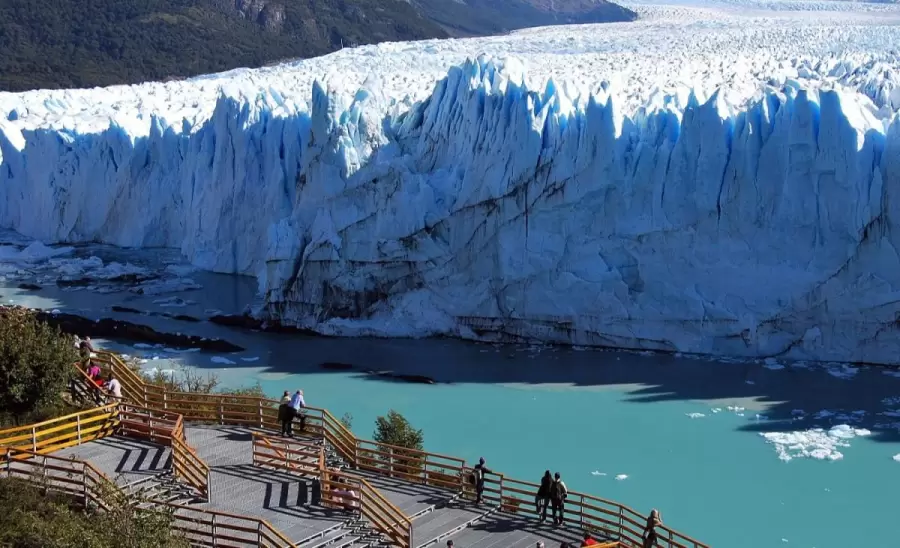el-calafate-jpg.