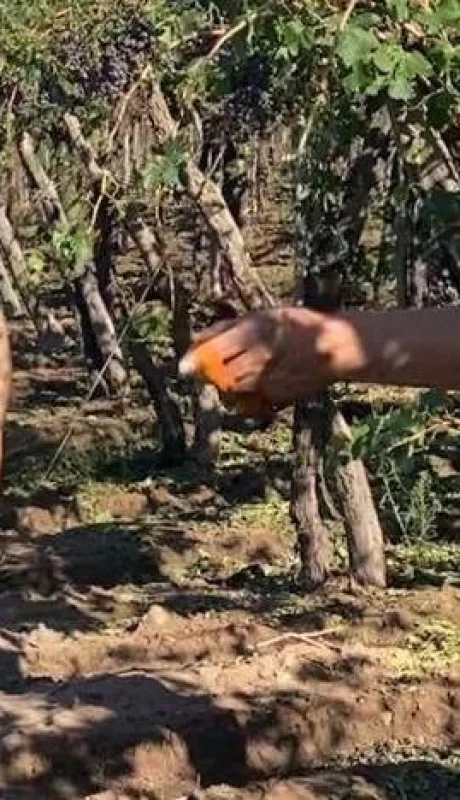 whatsapp-image-2023-04-06-at-16-51-56-1-jpeg.