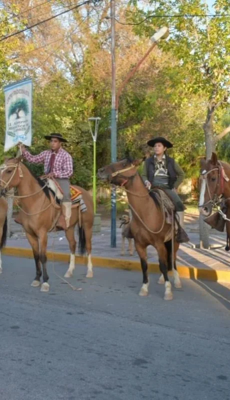 whatsapp-image-2023-04-06-at-13-55-28-jpeg.