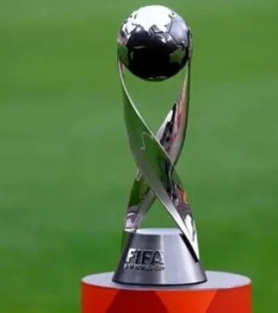 futbol-mundial-mundial-sub-17-peru-2023-tacna-y-callao-tambien-serian-sedes-copa-mundo-n427143-710x400-992416-jpg.