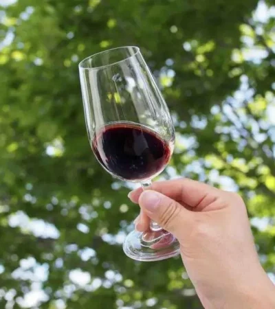 img-5117-scaled-jpg.