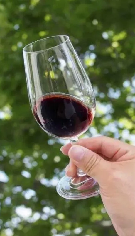 img-5117-scaled-jpg.