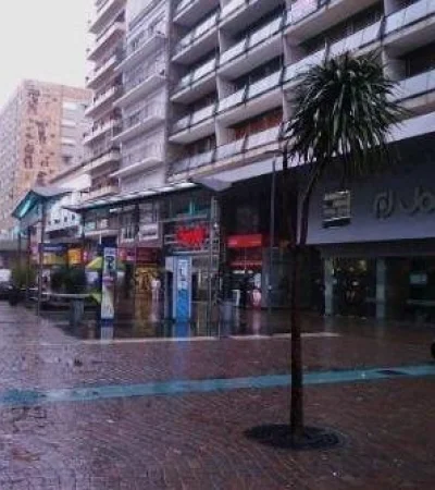 peatonal-san-martin-jpg.