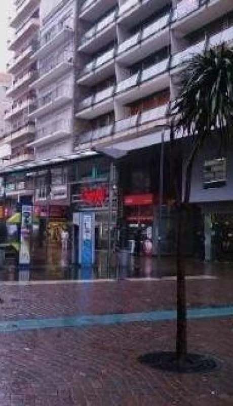 peatonal-san-martin-jpg.