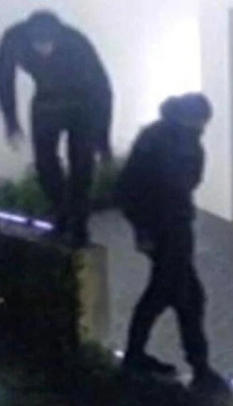 ladrones-messi-jpeg.