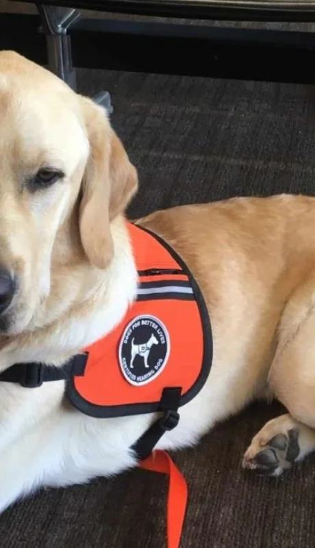 noah-sitting-airport-091520-scaled-jpg.