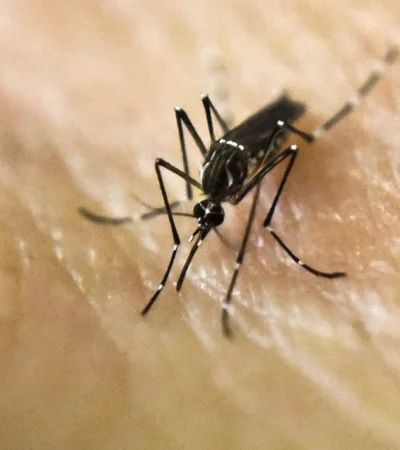 1681736407230417303-jpg.