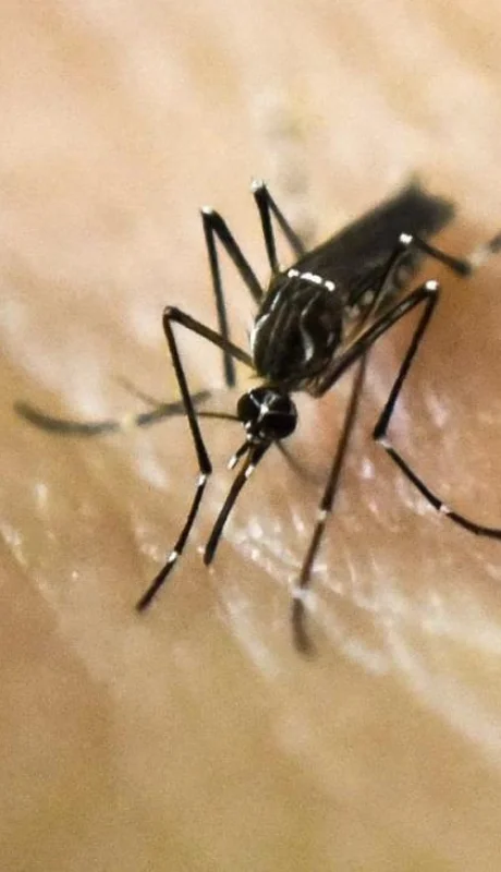 1681736407230417303-jpg.