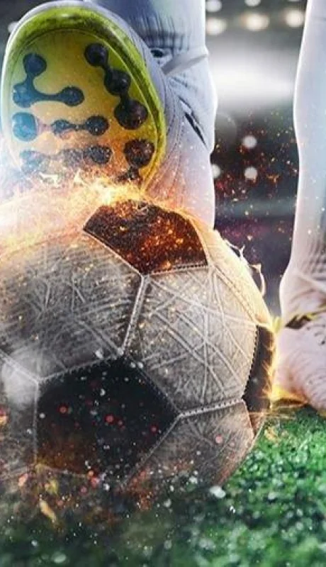 5678786887686867-jpg.