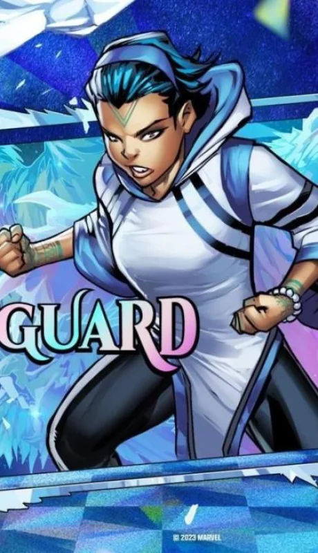snowguard-jpg.